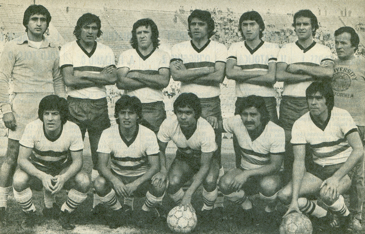 Palestino 1978